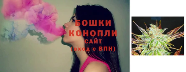 тгк Дмитров