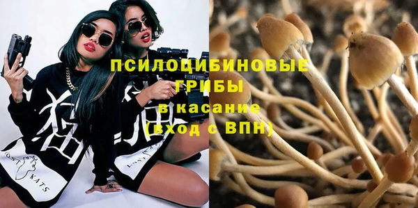 прущая мука Заволжье